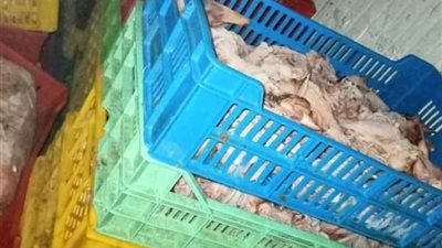 القبض على صاحب مجزر بداخله 512 كيلو دواجن ولحوم فاسدة بالقاهرة