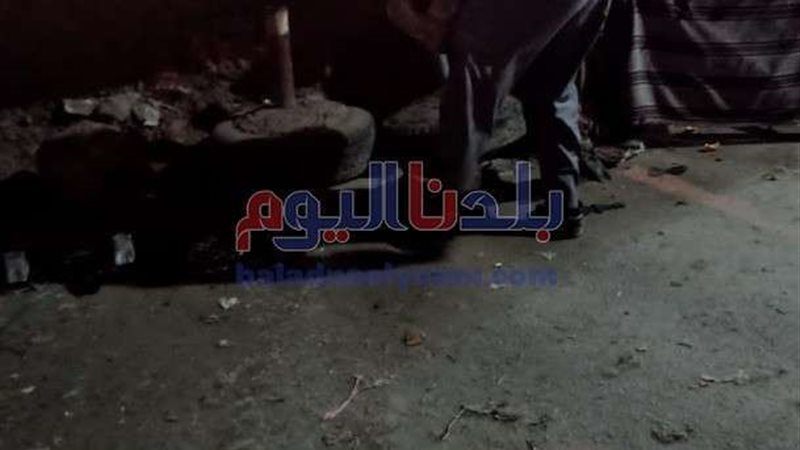 بلدنا اليوم