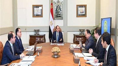 السيسي يتابع مع وزير المالية موقف الحد الأدنى للأجور