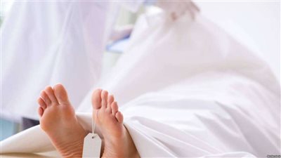 حوار.. استشاري يكشف أسباب ارتفاع الوفيات في مصر ويعدد فوائد الكوليسترول