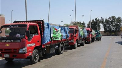 25 قافلة طبية وإغاثية للأزهر داخل مصر وخارجها خلال 2021