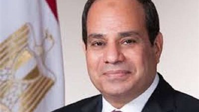 أمل سلام: المرأة المصرية حصلت على حقوقها بالكامل في عهد السيسي