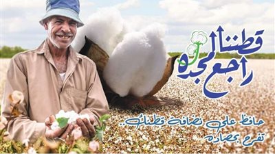 الحكومة: بيع 1.2 مليون قنطار بـ6.2 مليار جنيه من خلال المزادات في 14 محافظة