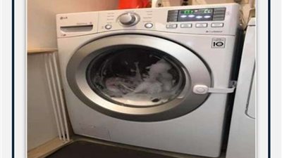 كارثة.. أم تشغل الغساله وبداخلها طفلتها 