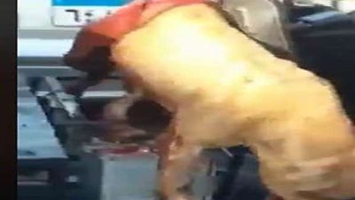 القبض على أصحاب واقعة تعذيب 