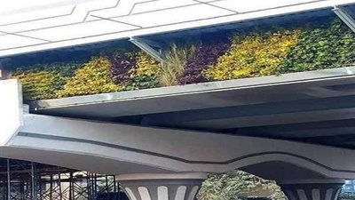 مصر الجديدة تتزين بالورود والزراعات الجميلة 