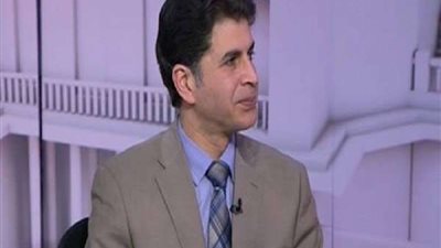 برلماني: المرحلة الحالية تستهدف معالجة الإعلام