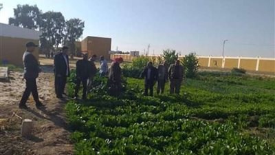 لجنة المتابعة الميدانية تتابع الخدمات المقدمة للمواطنين بقرى الخارجة في الوادي الجديد