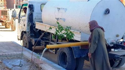 زراعة 2557 شجرة بحي الكوثر بسوهاج ضمن فعاليات مبادرة 