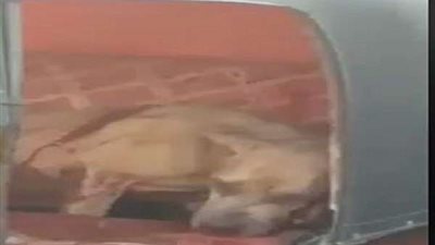 بضمان 500 جنيه.. إخلاء سبيل المتهمين بتعذيب وقتل 