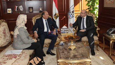 محافظ بني سويف يبحث مع رئيس التنمية الصناعية حل الأزمات