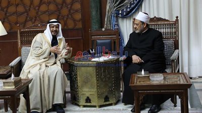 الإمام الأكبر: مستعدون للتعاون مع مؤسسة زايد لدعم القارة الأفريقية