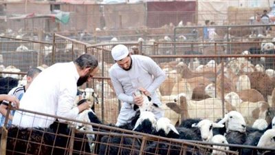 شاهد.. لأول مرة دفع صكوك الأضاحى للحجاج داخل مصر قبل السفر للسعودية