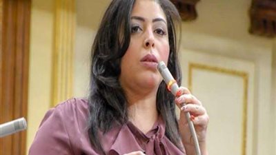 النائبة مارثا محروس: محاولات إحباط جهود الدولة لن تأثر على المرأة المصرية