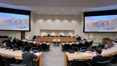 مصر تختتم رئاستها للجنة الأمم المتحدة لبناء السلام وسط إشادة وتقدير دوليين