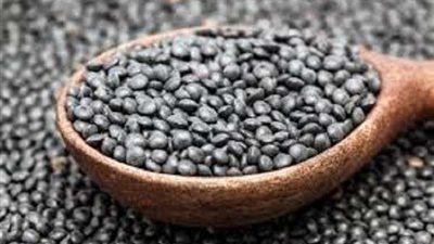 منها الوقاية من السرطان.. تعرف على فوائد العدس الأسود