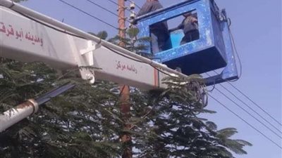 حملات لمراجعة وصيانة أعمدة الإنارة بقرى أبوقرقاص بالمنيا