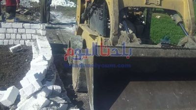 إزالة 27 حالة تعد في المهد على الأراضي الزراعية بقرى الواسطى شمال بني سويف