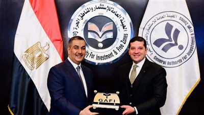 الهيئة العامة للاستثمار تبحث التعاون مع سفير العراق فى القاهرة