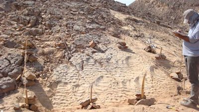 علماء مصريون يكشفون غموض وجود الديناصورات بالصحراء الشرقية (صور)