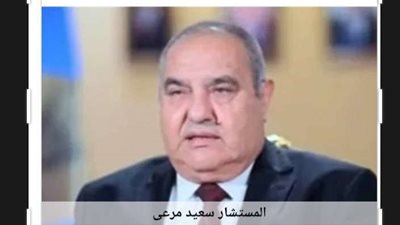 إحالة رئيس المحكمة الدستورية المستشار سعيد مرعي للمعاش.. لهذا السبب