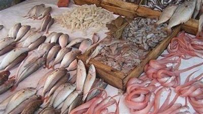 سعر السمك اليوم الأربعاء 9 فبراير 2022 في مصر