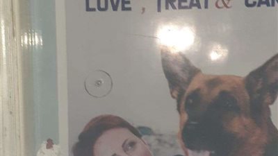 غلق عيادة بيطرية غير مرخصة بقنا خلال حملة تفتيشية مفاجئة