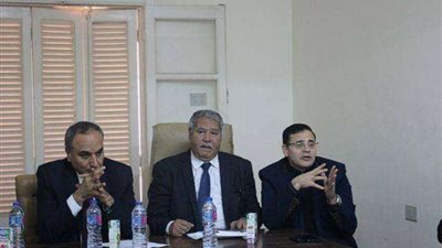 عبد المحسن سلامة: إعادة حلم الوطن العربي الموحد لمواجهة الأزمات