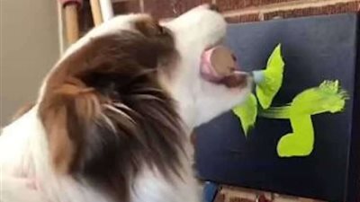 أغرب كلبة في العالم.. ترسم لوحات بأسعار تصل إلى 15 ألف جنيه إسترليني (فيديو)