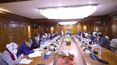 وزير التعليم العالي يترأس اجتماع مجلس شئون المعاهد العالية الخاصة