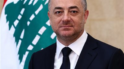 شاهد.. وزير الدفاع اللبناني ينفي مسؤولية بلاده في هروب كارلوس غصن