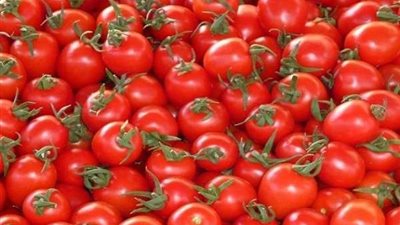 الزراعة: لا صحة لزيادة مرتقبة في أسعار الطماطم