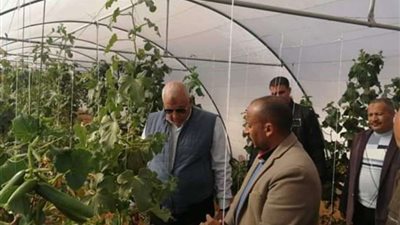 الزملوط يتفقد مشروع الصوب الزراعية المميزة بإحدى قرى المحافظة