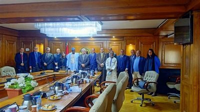 التعليم العالي: مقترح مصري لتوحيد الجهود البحثية بين الدول الإفريقية