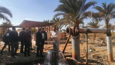 محافظ الوادي الجديد يتفقد مشروع استثمار زراعي بمنطقة سهل بركة