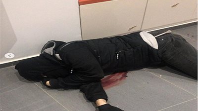 شاهد.. أول فيديو للص الذي حاول سرقة فيلا نانسي عجرم بعد مقتله