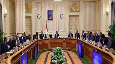 رئيس الوزراء يستعرض نتائج أعمال استصلاح واستزراع بعض المساحات المملوكة للدولة بغرب المنيا