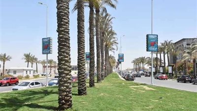 جهاز القاهرة الجديدة يطرح أعمال صيانة المسطحات الخضراء  للراغبين من الشركات (صور)