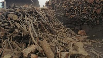 إزالة فورية لحالة تعدي على الأرض الزراعية بقويسنا (صور)