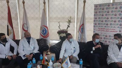 ورش عمل للأطباء المصريين بالمعهد القومي الفرنسي للأورام «جوستاف روزسي».. تفاصيل