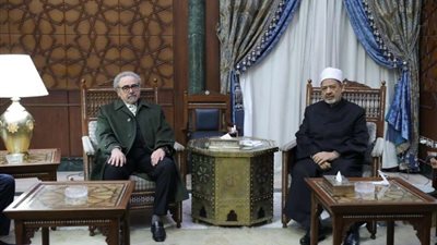 شيخ الأزهر يدعوا للتصدي لحملات التغريب والانسلاخ من الهوية