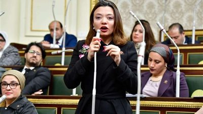 مي كرم جبر: قانون الضريبة على الدخل لم يراع البعد الاجتماعي للمواطنين