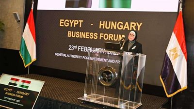 وزيرة التجارة: فرص استثمارية متميزة أمام دوائر الأعمال المجرية في السوق المصري