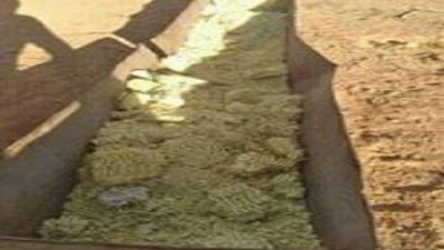 تضخيم الثدي و يُسبب السمنة.. فائدة عجيبة من تناول وجبات الإندومي