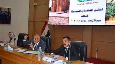 محافظ الوادي الجديد: حصر أعداد صغار المزارعين لتعويضهم عن ارتفاع أسعار الكهرباء