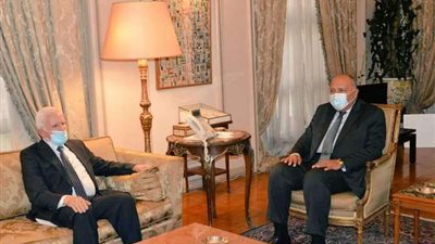 الخارجية المصرية.. تكشف تفاصيل لقاء شكري مع عزام الأحمد