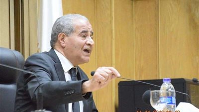 الجريدة الرسمية تنشر قرار لمصيلحي في 2010