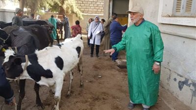 بداية من السبت.. انطلاق فعاليات القافلة البيطرية المجانية بالفيوم