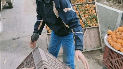 محافظ البحيرة يتابع تنفيذ حملات مكبرة ورفع 233 إشغال طريق