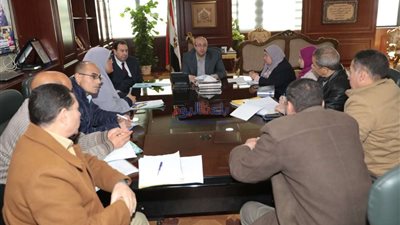 محافظ بني سويف يقرر إنشاء وحدة رصد ميداني بمراكز معلومات التنمية
